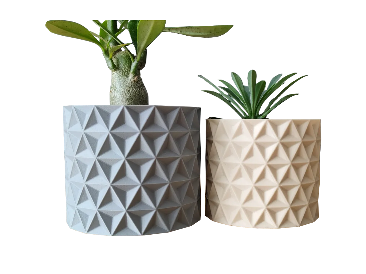 Géométrique triangle